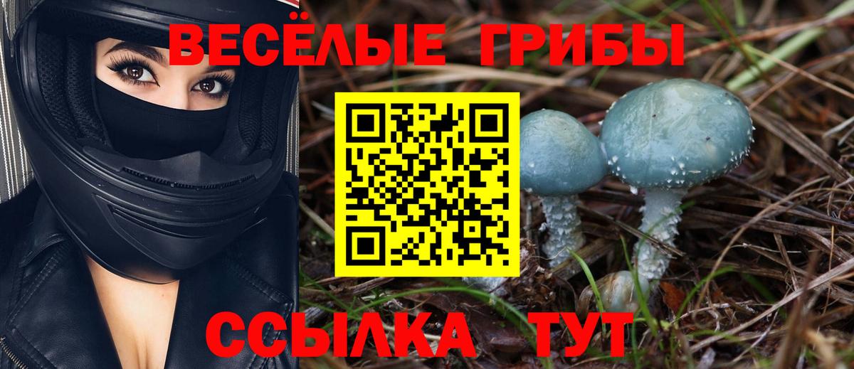 Галлюциногенные грибы прущие грибы  Галлюциногенные грибы MAGIC MUSHROOMS  сколько стоит  Нальчик  Вход с VPN 